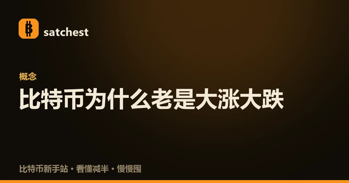 比特币价格剧烈波动的示意：一条上下剧烈起伏的 K 线，旁边是平缓的银行存款和股票曲线做对比